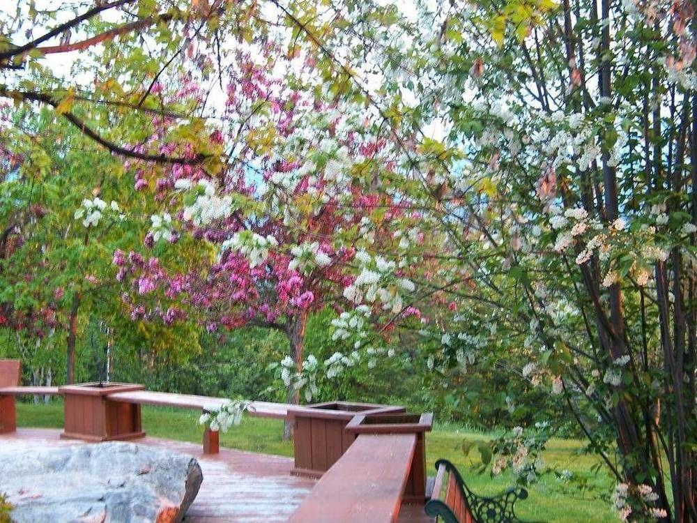 גולדן Kapristo Lodge מראה חיצוני תמונה