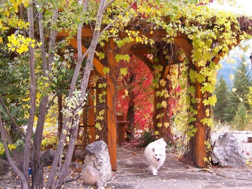 גולדן Kapristo Lodge מראה חיצוני תמונה